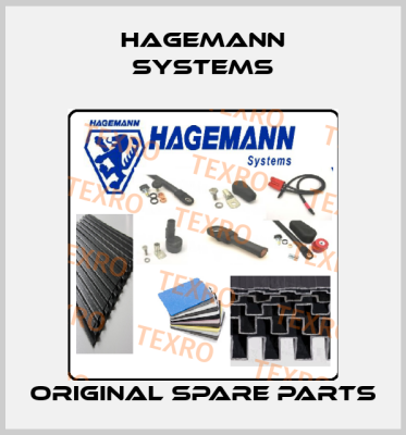 Hagemann Systems