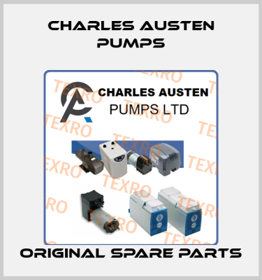 Charles Austen Pumps