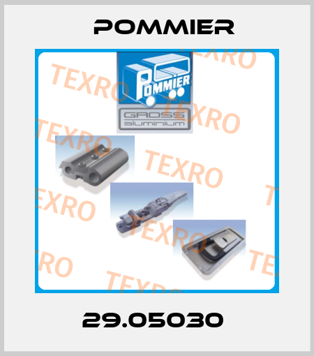 29.05030  Pommier