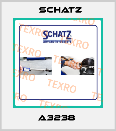 A3238  Schatz