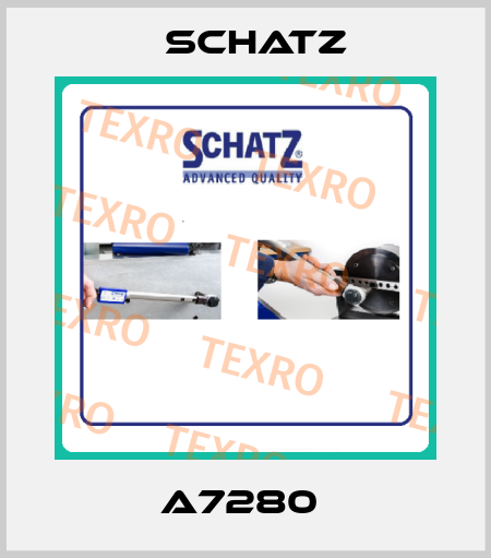 A7280  Schatz