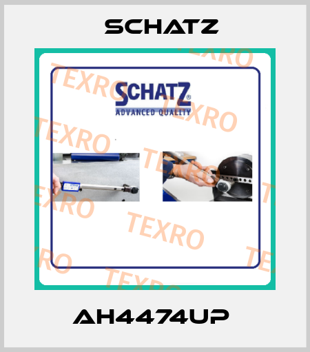 AH4474UP  Schatz