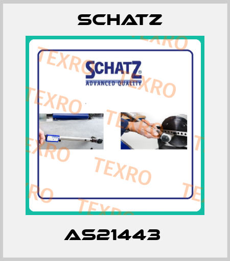 AS21443  Schatz