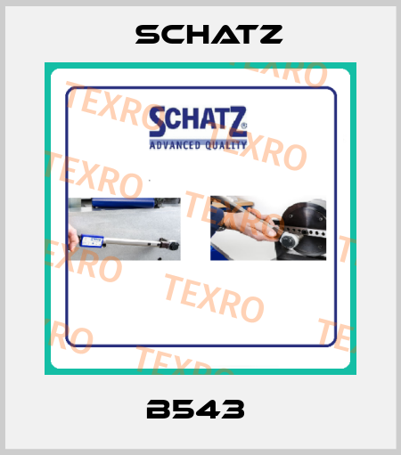 B543  Schatz