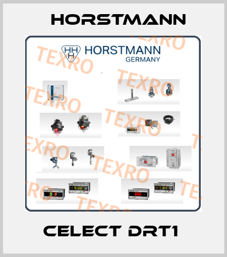 CELECT DRT1  Horstmann