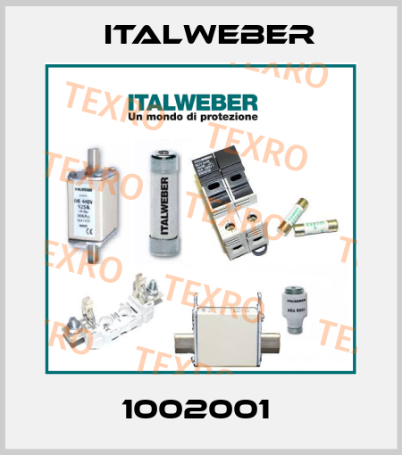 1002001  Italweber