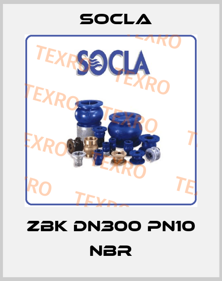 ZBK DN300 PN10 NBR Socla