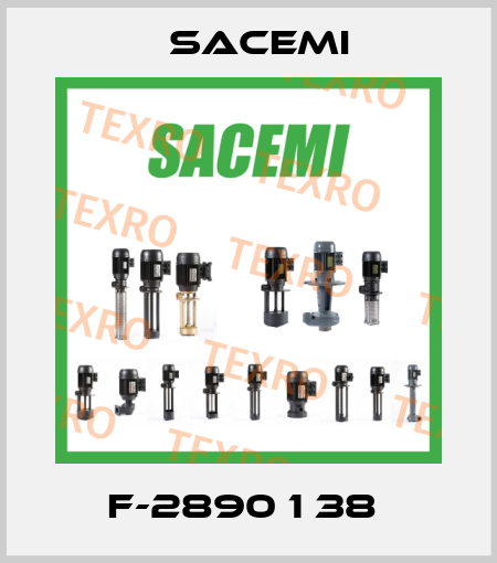 F-2890 1 38  Sacemi