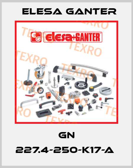 GN 227.4-250-K17-A  Elesa Ganter