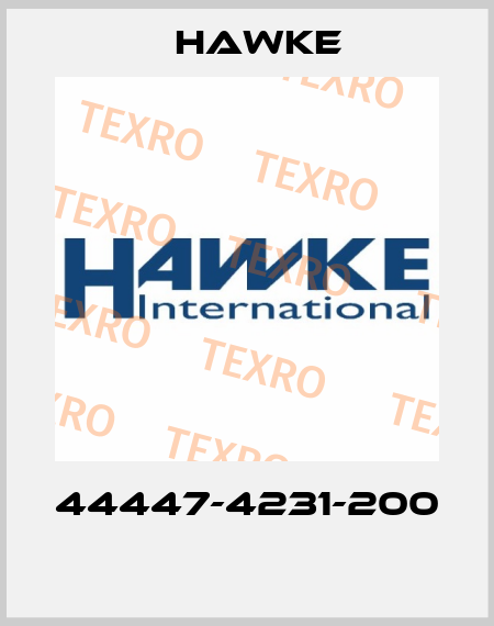 44447-4231-200  Hawke
