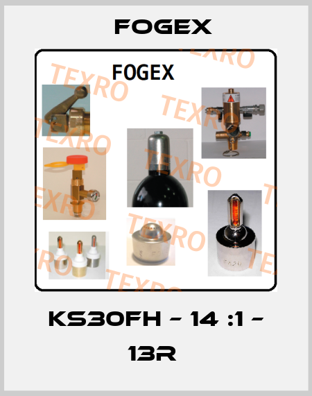 KS30FH – 14 :1 – 13R  Fogex