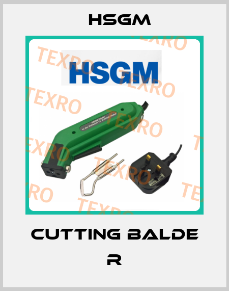 Cutting balde R HSGM