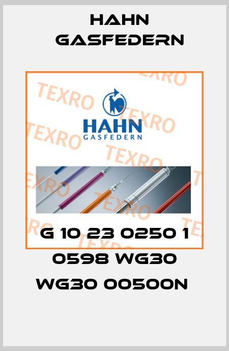 G 10 23 0250 1 0598 WG30 WG30 00500N  Hahn Gasfedern