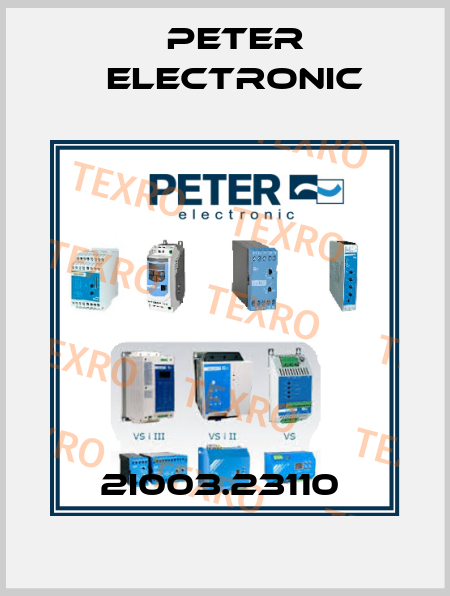 2I003.23110  Peter Electronic