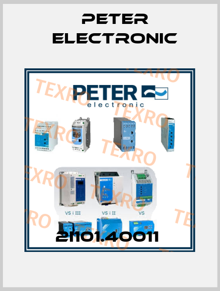 2I101.40011  Peter Electronic
