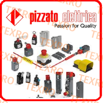 FR 531-S10 oem  Pizzato Elettrica