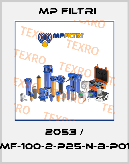 2053 / MF-100-2-P25-N-B-P01 MP Filtri