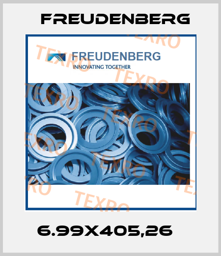6.99X405,26   Freudenberg