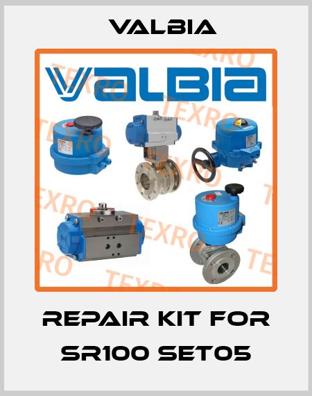 Repair kit for SR100 SET05 Valbia