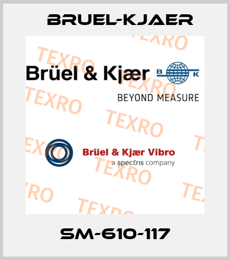 SM-610-117 Bruel-Kjaer