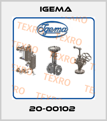 20-00102  Igema