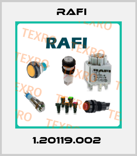 1.20119.002  Rafi