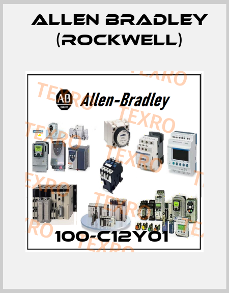100-C12Y01  Allen Bradley (Rockwell)
