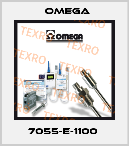 7055-E-1100  Omega