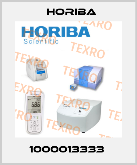 1000013333  Horiba