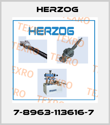 7-8963-113616-7  Herzog