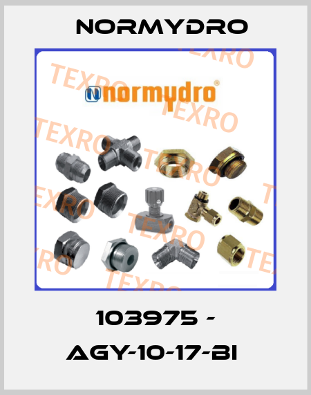 103975 - AGY-10-17-BI  Normydro