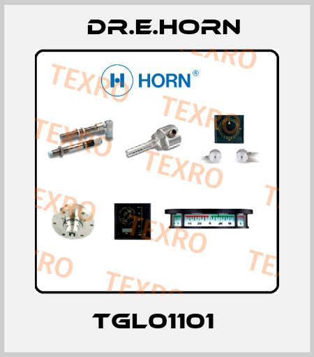 TGL01101  Dr.E.Horn