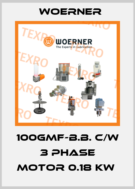 100GMF-B.B. C/W 3 PHASE MOTOR 0.18 KW  Woerner