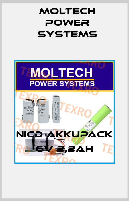 NiCd Akkupack 6V 2,2Ah Moltech Power Systems
