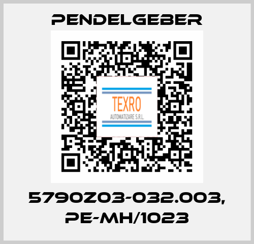 5790Z03-032.003, PE-MH/1023 Pendelgeber