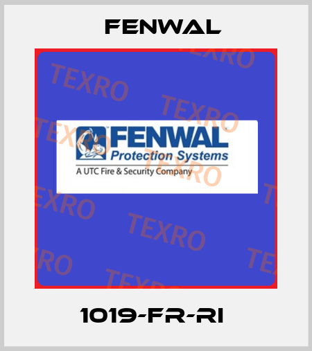 1019-FR-RI  FENWAL