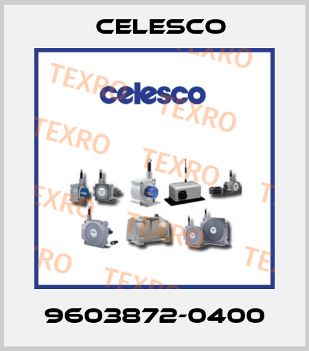 9603872-0400 Celesco