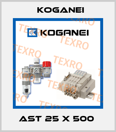 AST 25 X 500  Koganei
