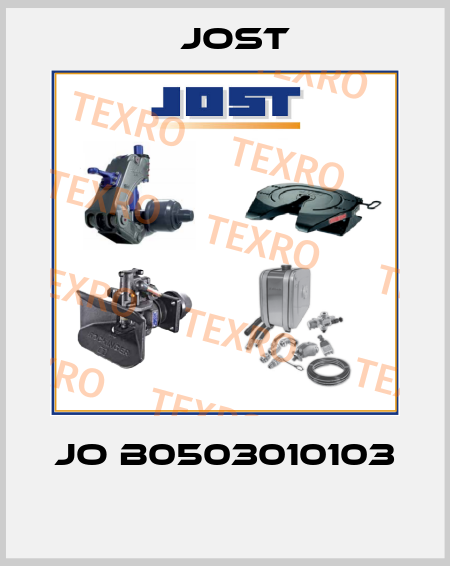 JO B0503010103  Jost