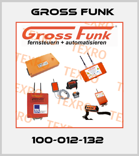 100-012-132  Gross Funk