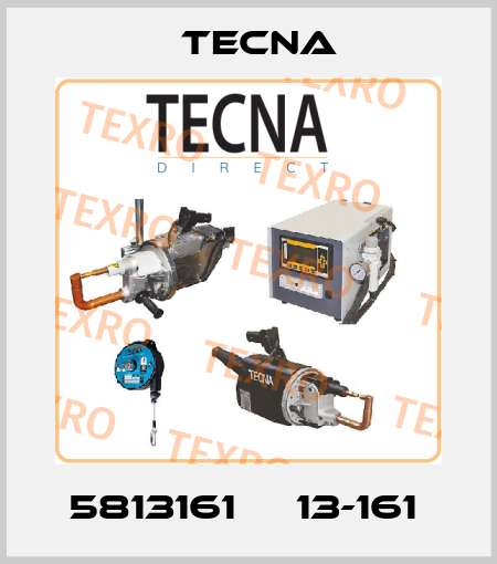 5813161     13-161  Tecna