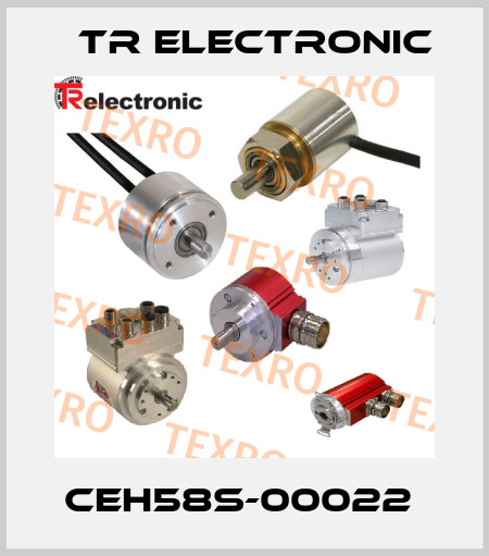 CEH58S-00022  TR Electronic