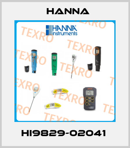 HI9829-02041  Hanna