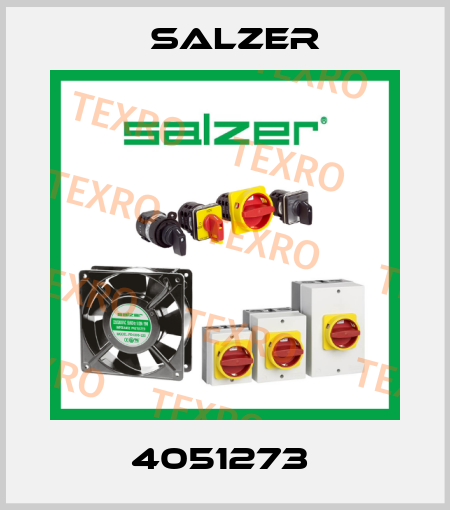 4051273  Salzer