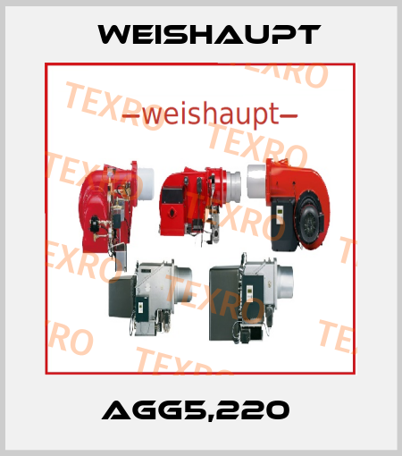 AGG5,220  Weishaupt