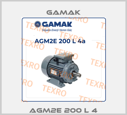 AGM2E 200 L 4 Gamak