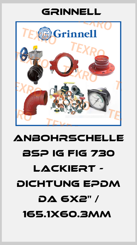 ANBOHRSCHELLE BSP IG FIG 730 LACKIERT - DICHTUNG EPDM DA 6X2" / 165.1X60.3MM  Grinnell