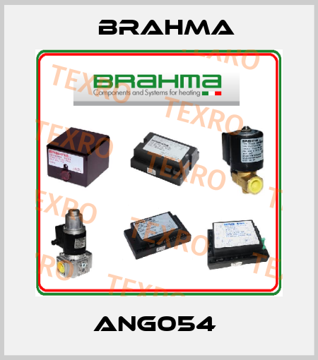 ANG054  Brahma