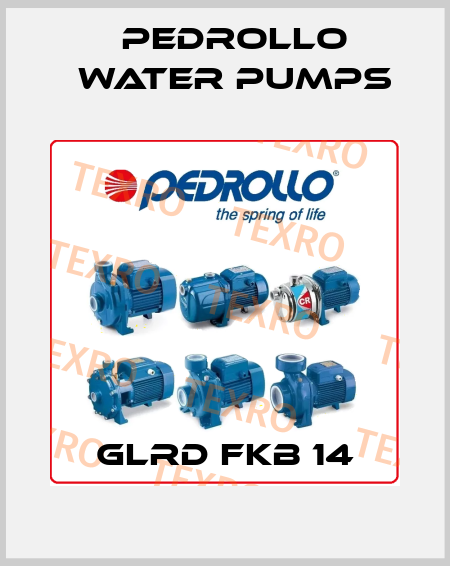 GLRD FKB 14 Pedrollo Water Pumps