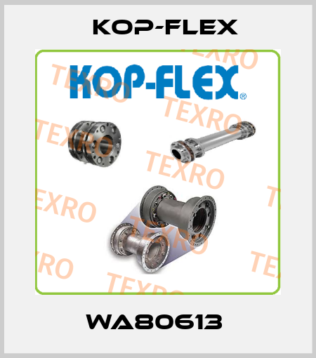 WA80613  Kop-Flex